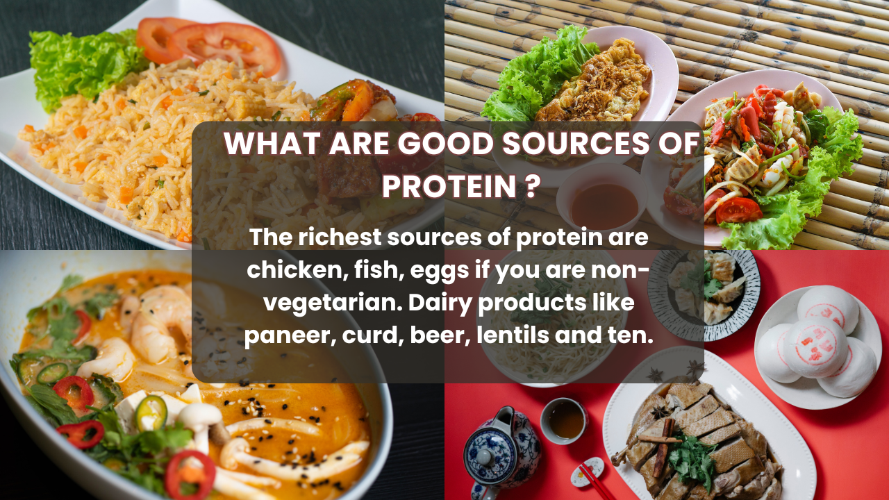 protein 