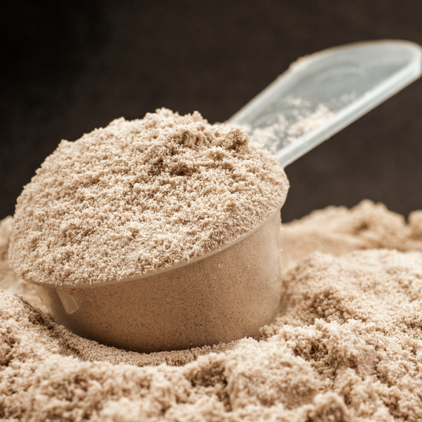 protein powder 